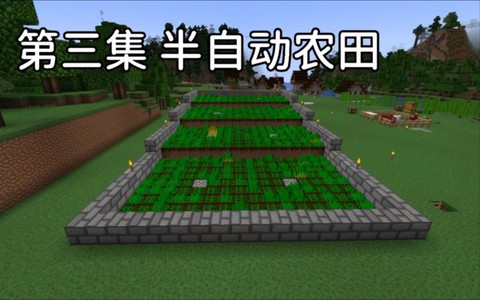 我的世界菜地怎么做[图2]