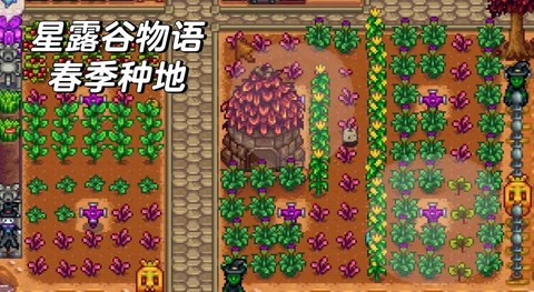 星露谷物语春天种什么值钱[图1]