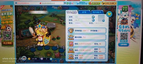 洛克王国怎么玩不了[图1]