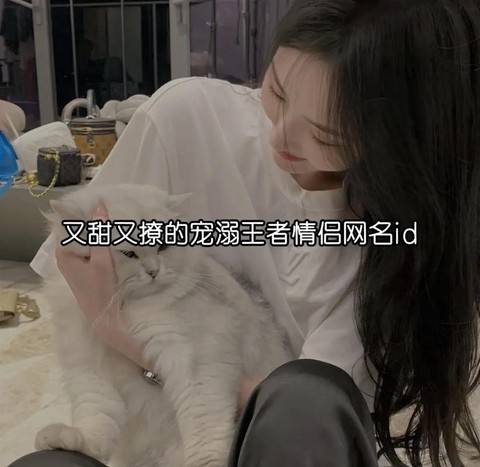 王者荣耀正版id什么意思[图2]