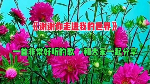 你走进我的世界什么歌