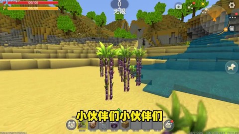 迷你世界怎么种甘蔗[图1]