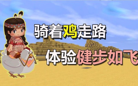 迷你世界什么能吸引鸡