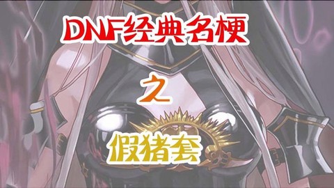 dnf为什么叫假猪套