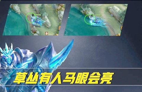 王者荣耀怎么探草丛