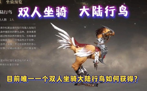 最终幻想陆行鸟怎么用[图1]