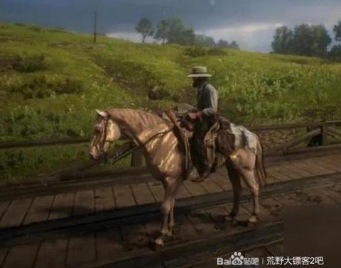 荒野大镖客马怎么继承[图1]