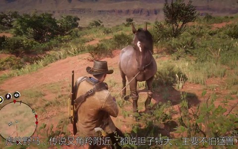 荒野大镖客怎么制服野马