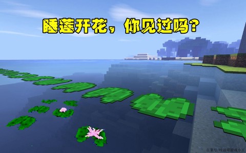 我的世界睡莲有什么用[图1]