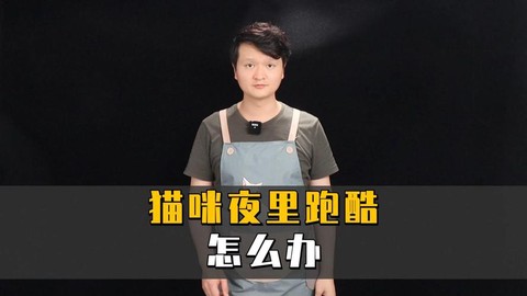猫咪天天跑酷怎么办