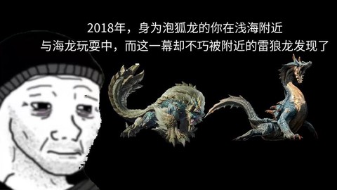 怪物猎人说的什么语言