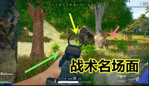 绝地求生怎么换人观看