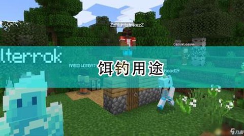 我的世界饵钓有什么用[图2]