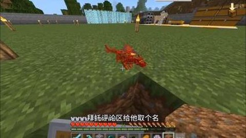 我的世界地狱龙怎么得