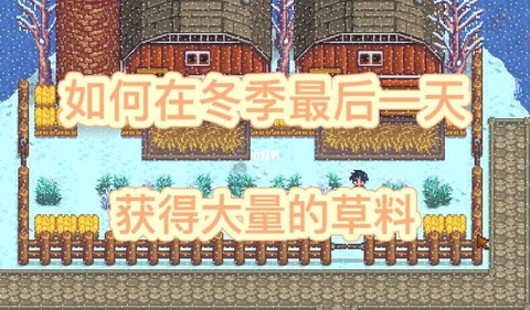 星露谷物语草怎么得