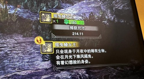 怪物猎人如何捕获怪物猎人ol