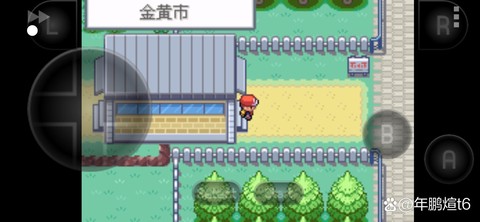 宝可梦怎么去金黄市
