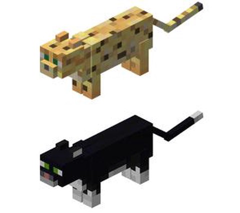 我的世界豹猫怎么养[图2]