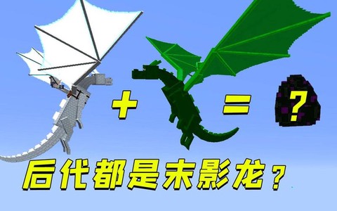 我的世界什么龙最强