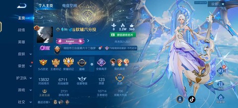 王者荣耀cd是什么