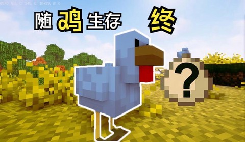 我的世界小鸡怎么长大