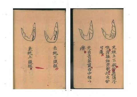 九阴真经明教怎么叛师[图1]