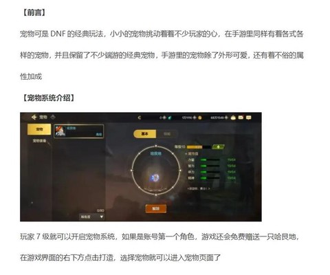 dnf宠物怎么升级快[图1]