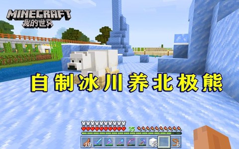 我的世界北极熊怎么养