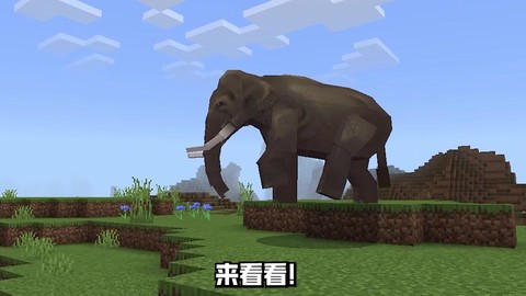我的世界怎么捕捉动物