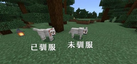 我的世界怎么驯服狼手机版[图2]