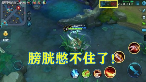 王者荣耀什么叫膀胱局[图1]