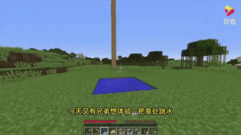 我的世界怎么驯服鸵鸟[图1]