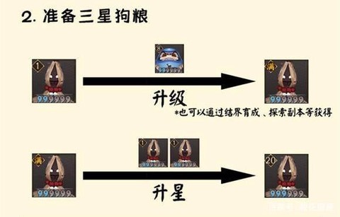 阴阳师前期怎么带狗粮[图2]