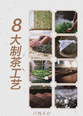 九阴真经绿茶怎么加工[图1]