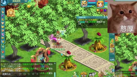 神武怎么打掉高级再生