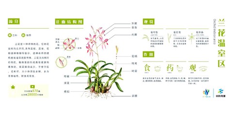 迷你世界兰花怎么种[图1]