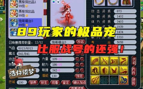 梦幻西游89带什么宝宝[图2]