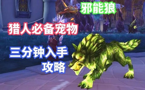 魔兽世界宠物有什么用