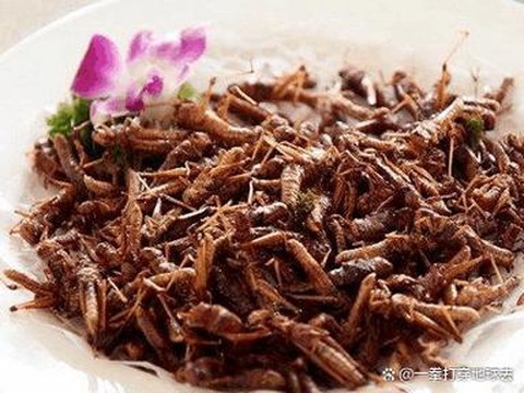 九阴真经蝗虫之害怎么做[图1]