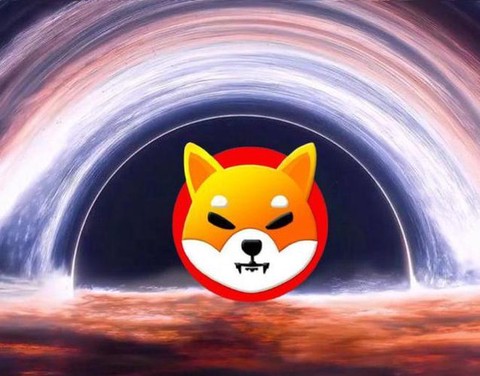 qq炫舞柴犬怎么获得[图2]