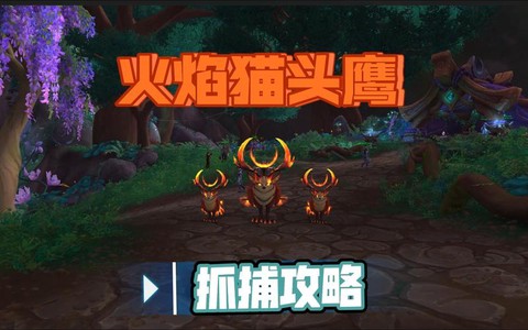 魔兽猎人怎么抓宝宝
