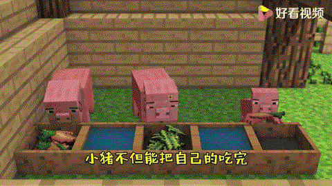 我的世界猪有什么用